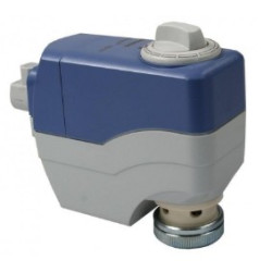 SSC31