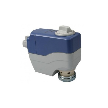 SSC31