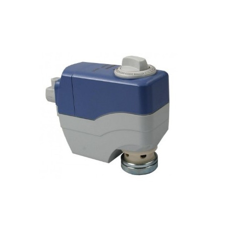 SSC81
