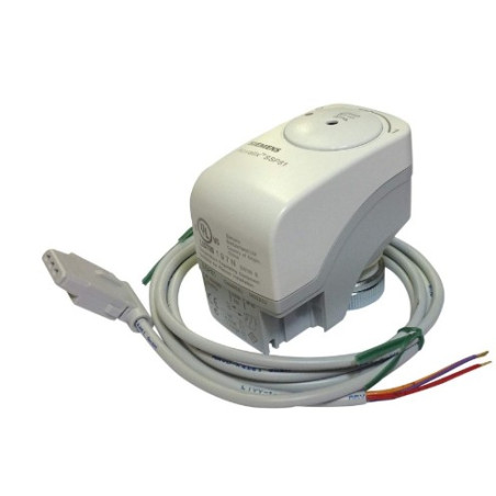 SSP81